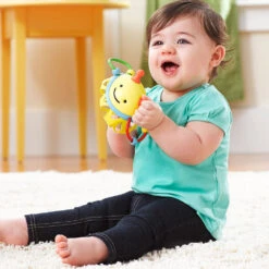 SkipHop Explore & More Rattle | Bee -Productos Para Bebes Tienda 303102 1