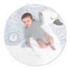 SkipHop Little Swan Milestone Playmat