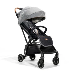 Joie Tourist Signature | Carbon