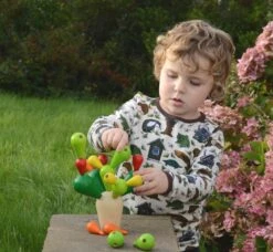 PlanToys Balancing Cactus 10 PlanToys Balancing Cactus -Productos Para Bebes Tienda plan toys balancing cactus babipur full